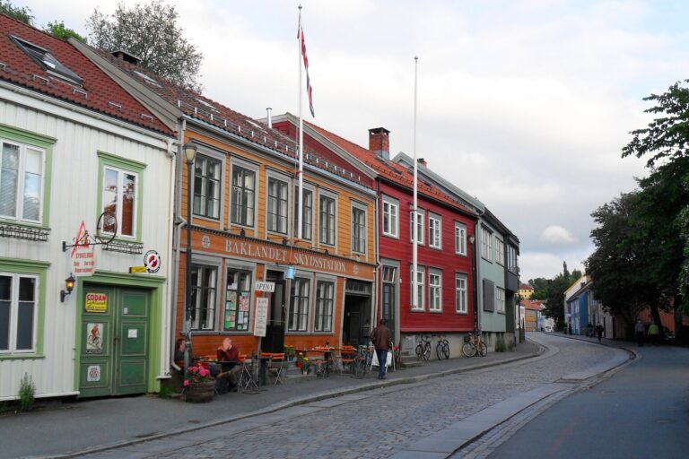 Baklandet Skydsstation og nabohusene i Bakklandet